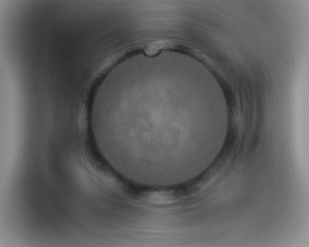 X0000114500303200910191256