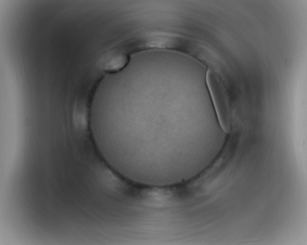 X0000114500305200910191256