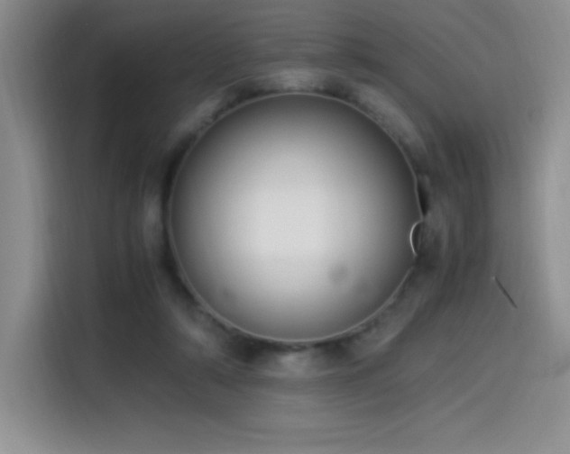 X0000114500306200910191256
