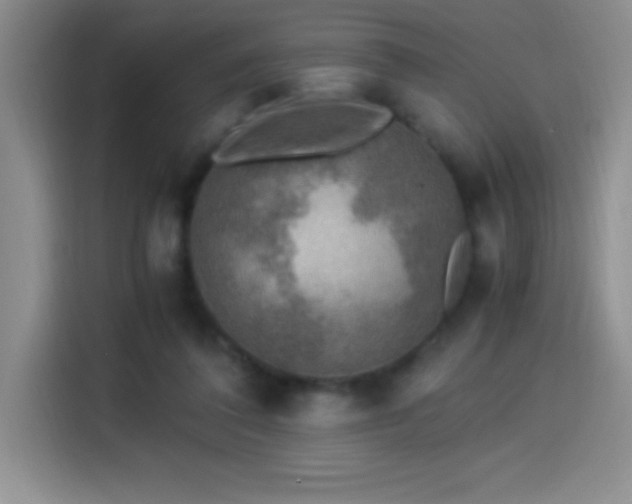 X0000114500308200910191256