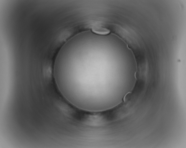 X0000114500309200910191256