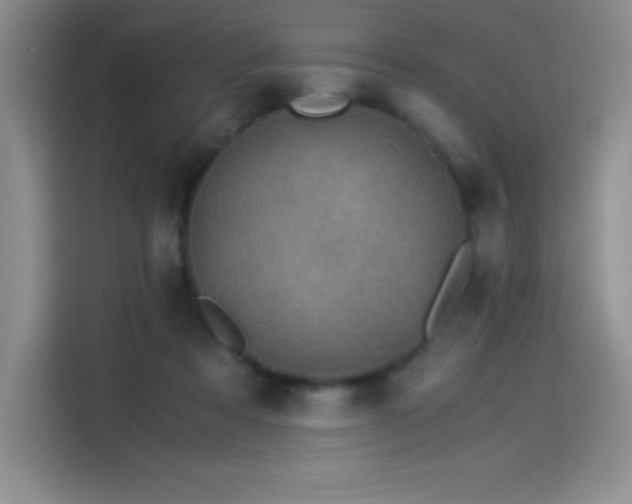X0000114500313200910191256