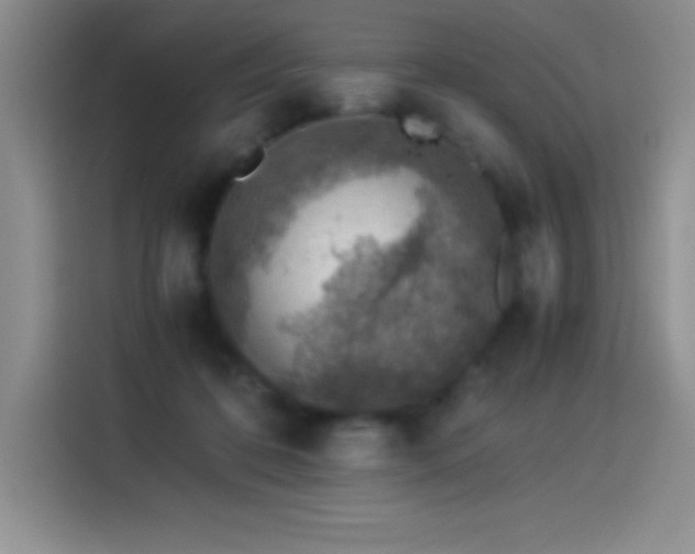 X0000114500316200910191256