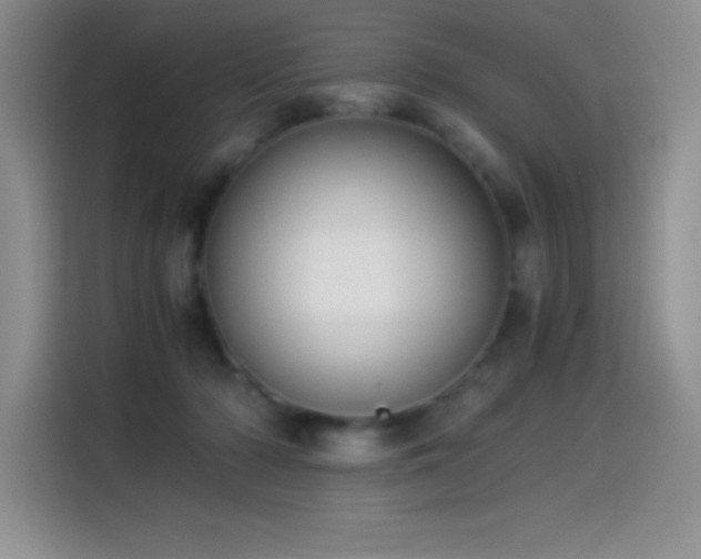 X0000114500318200910191256