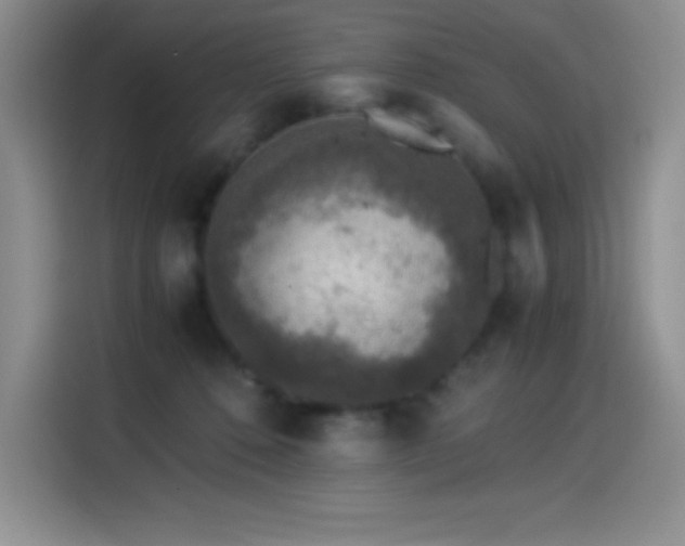 X0000114500320200910191256