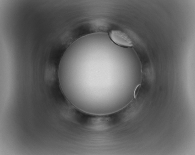 X0000114500323200910191256