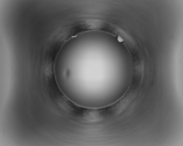 X0000114500325200910191256