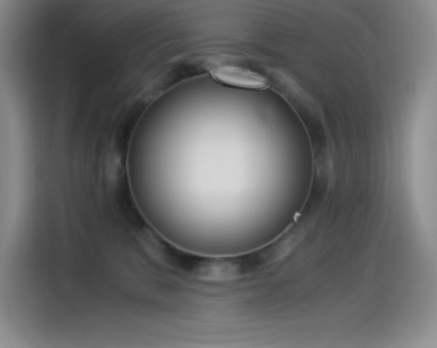 X0000114500327200910191256