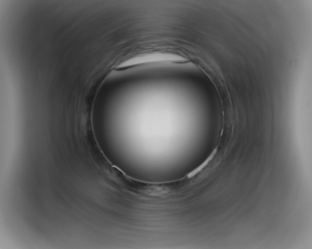 X0000114500328200910191256