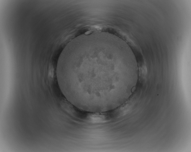 X0000114500331200910191256