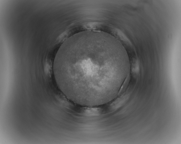 X0000114500332200910191256