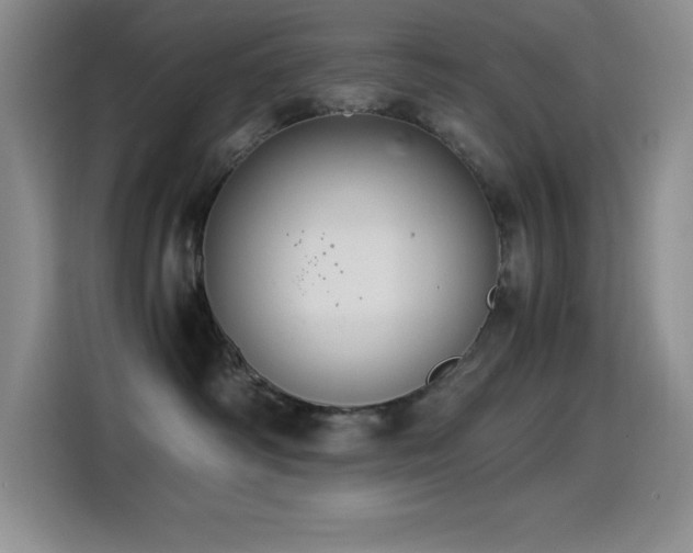 X0000114500334200910191256