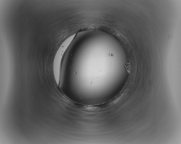 X0000114500336200910191256