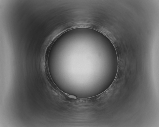 X0000114500338200910191255