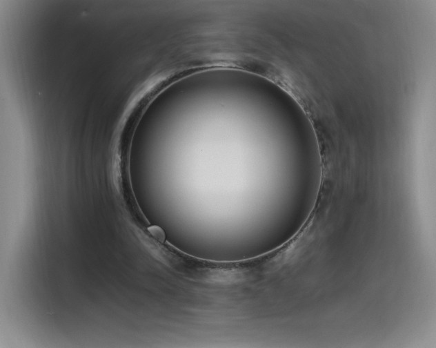 X0000114500342200910191255