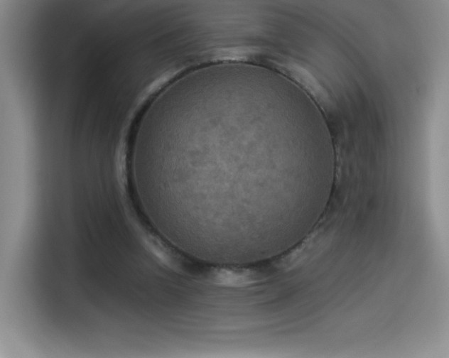 X0000114500346200910191255