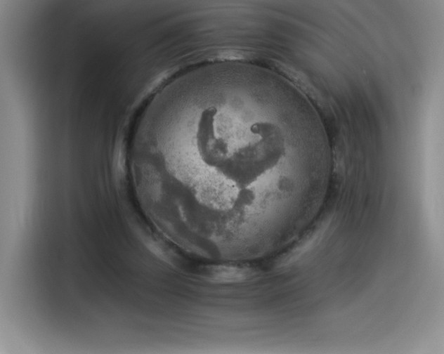 X0000114500347200910191255