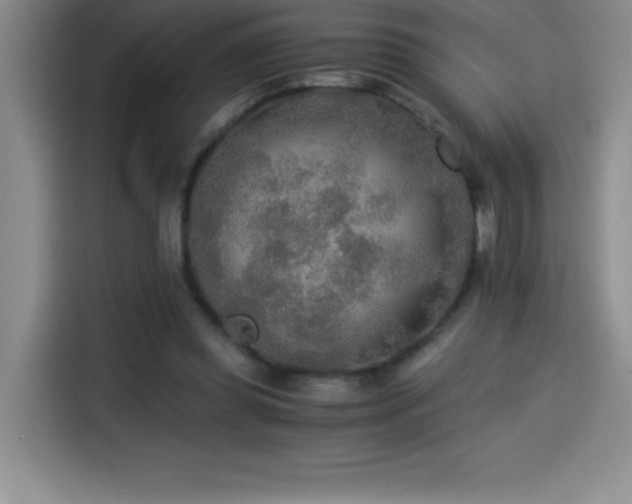 X0000114500349200910191255