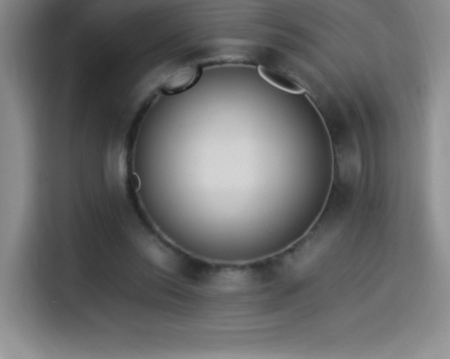 X0000114500350200910191255