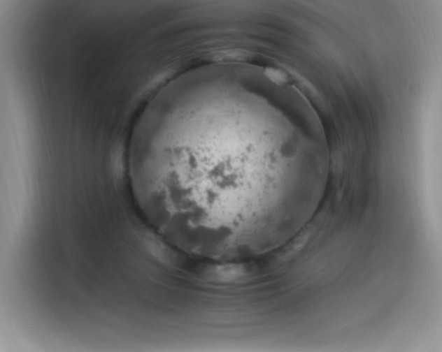 X0000114500353200910191255