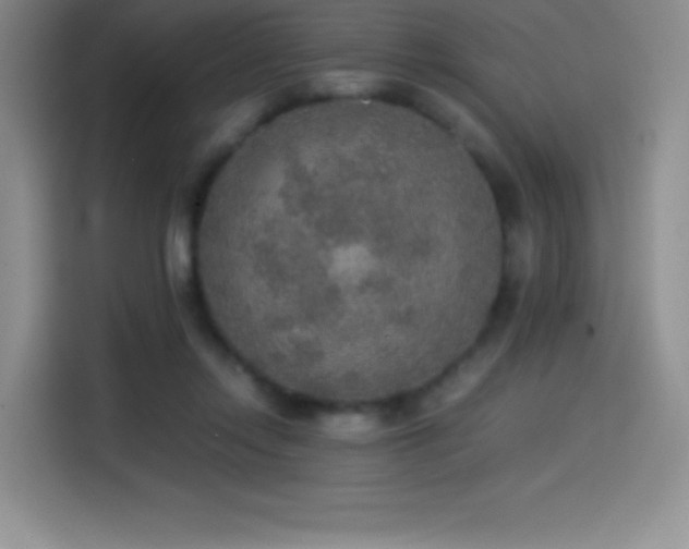 X0000114500358200910191255
