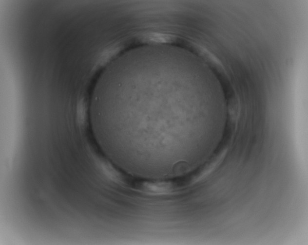 X0000114500359200910191255