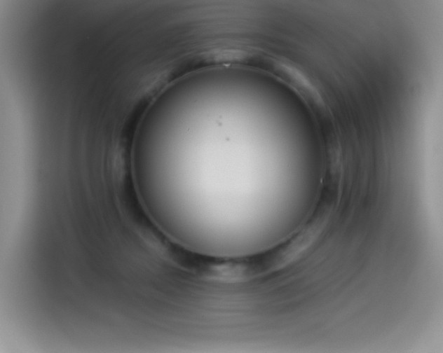 X0000114500362200910191255