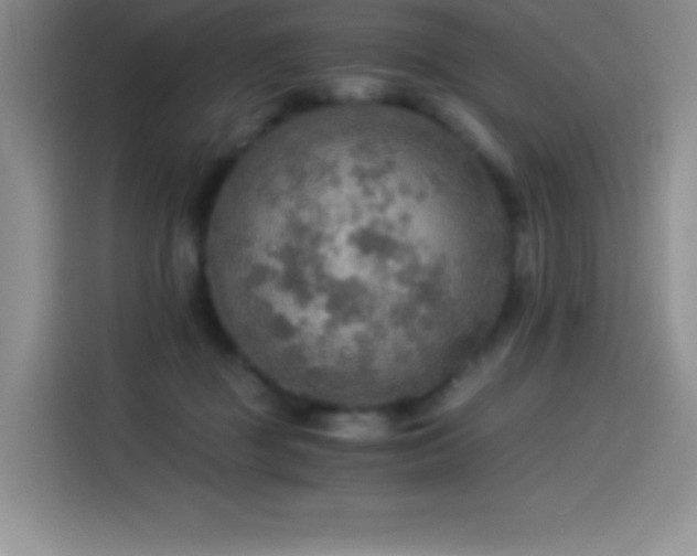 X0000114500363200910191255