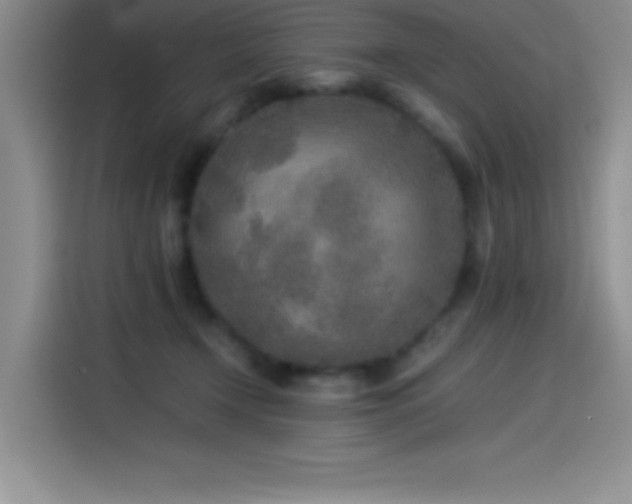 X0000114500366200910191255