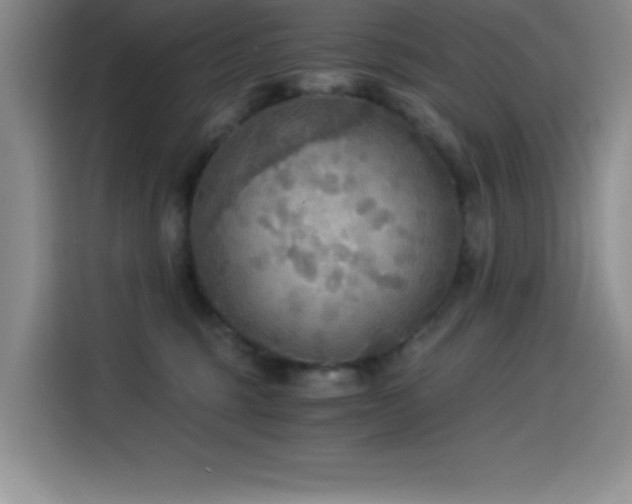 X0000114500375200910191256