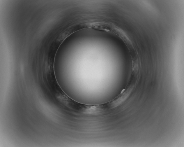 X0000114500382200910191256
