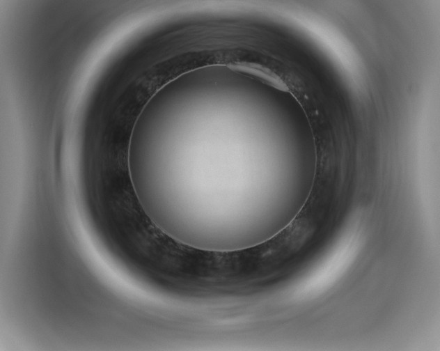 X0000114500383200910191256