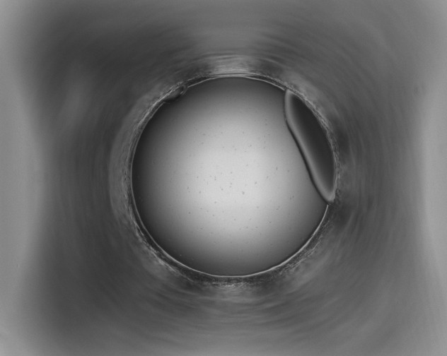 X0000114500385200910191255