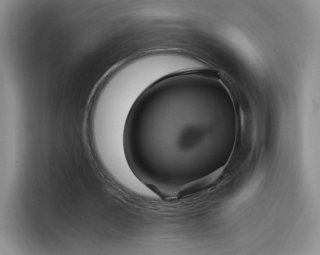 X0000114500387200910191255