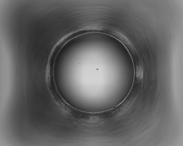 X0000114500388200910191255