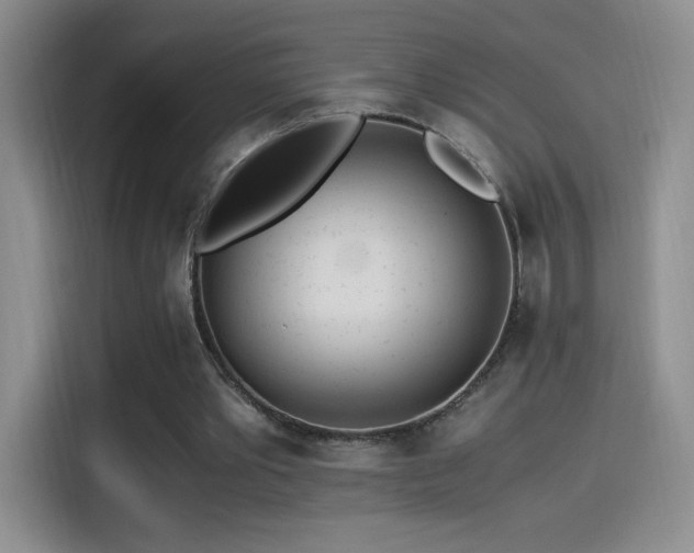 X0000114500389200910191255