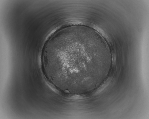 X0000114500390200910191255