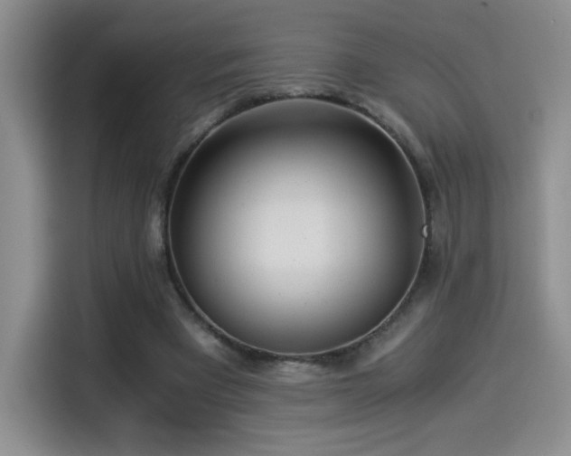 X0000114500393200910191255