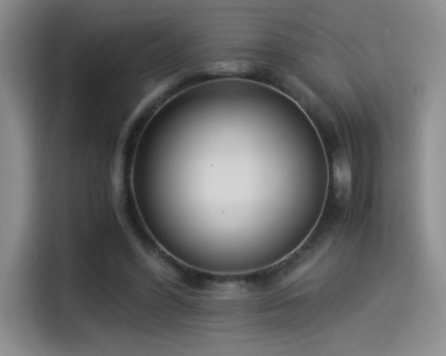X0000114500396200910191255