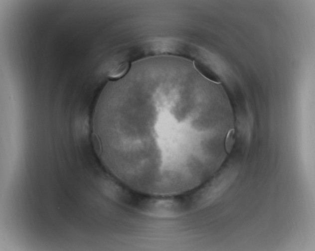 X0000114500401200910191255