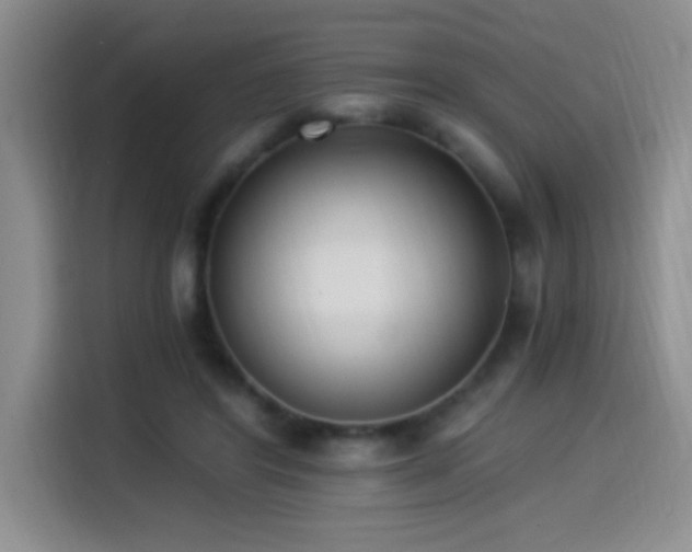 X0000114500404200910191255