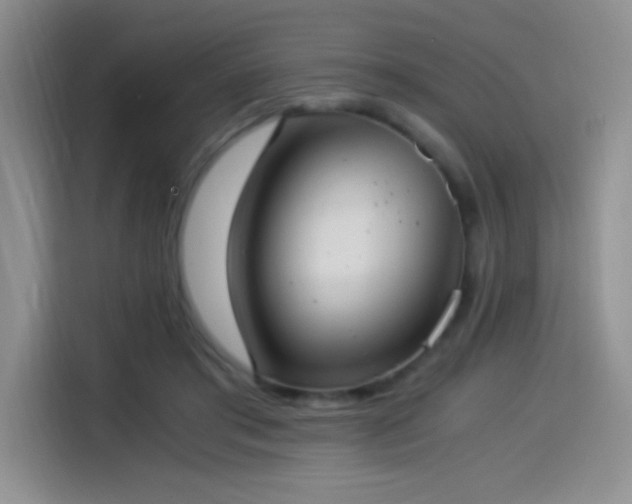 X0000114500405200910191255