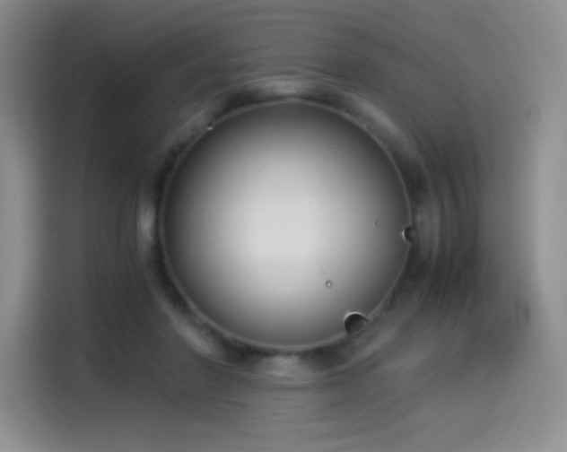 X0000114500406200910191255