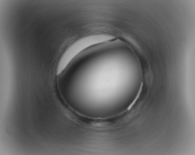 X0000114500407200910191255