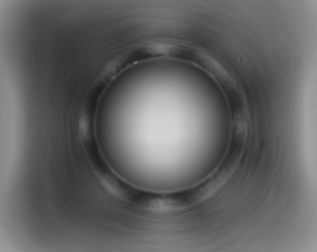 X0000114500408200910191255
