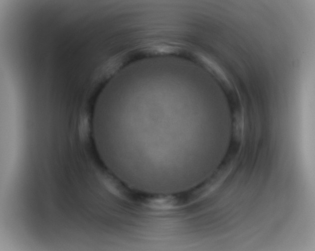 X0000114500410200910191255