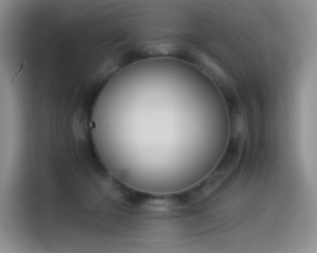 X0000114500414200910191255