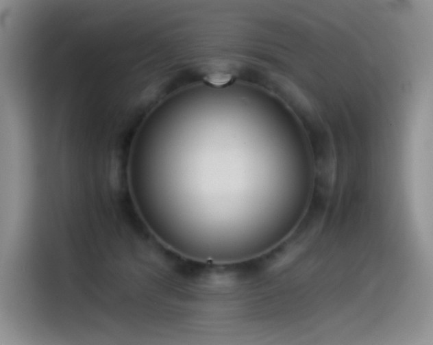 X0000114500416200910191255