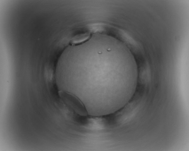 X0000114500417200910191255