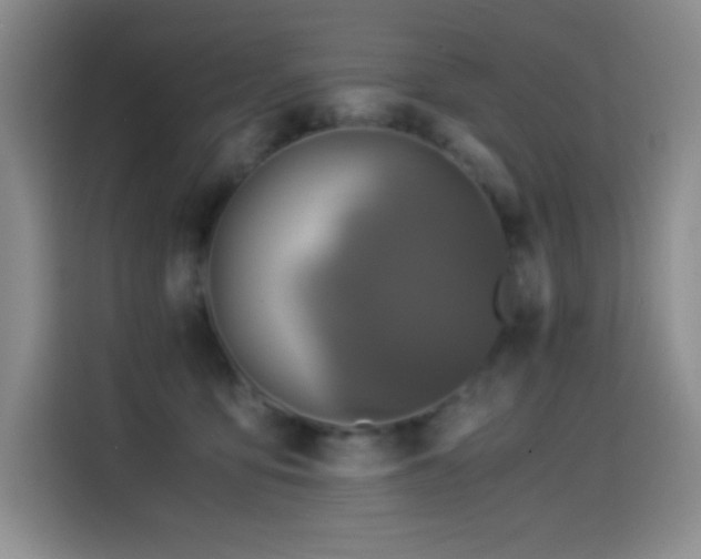 X0000114500419200910191255
